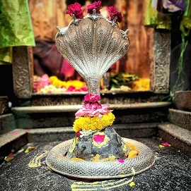 Puja Image
